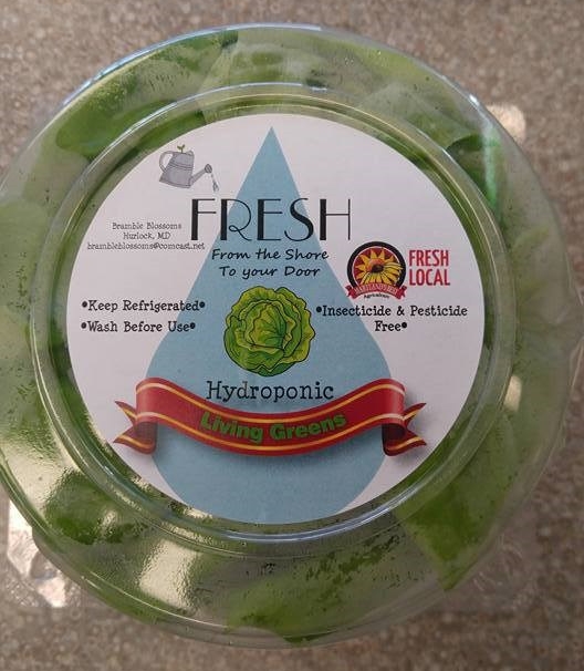 15356636_709263239232141_9194895788490451483_n